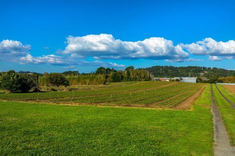 Photo of property in 117 Mahana Road, Waimauku, 0881