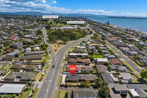 Photo of property in 103 Chapel Street, Otumoetai, Tauranga, 3110