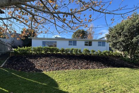 Photo of property in 163b Pembroke Street, Westown, New Plymouth, 4310