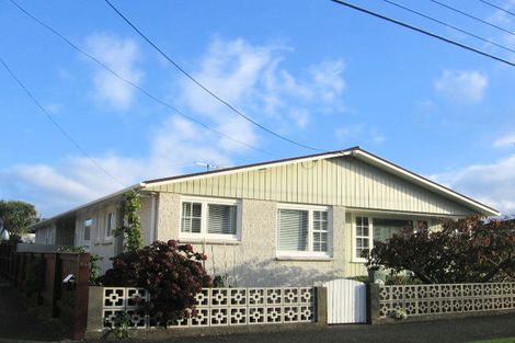 Photo of property in 84 Pretoria Street, Hutt Central, Lower Hutt, 5010