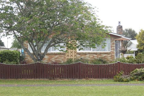 Photo of property in 10 Froude Street, Leamington, Cambridge, 3432