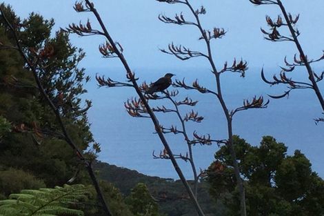 Photo of property in 126 Lone Kauri Road, Karekare, Auckland, 0772