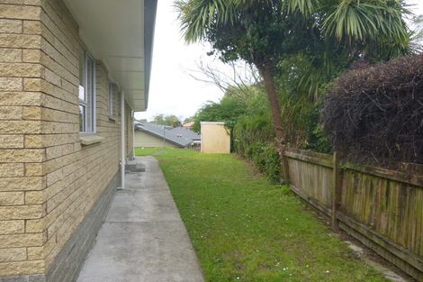 Photo of property in 142 Clarkin Road, Fairfield, Hamilton, 3214
