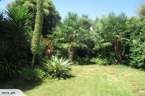 Photo of property in 36 Burke Street, Addington, Christchurch, 8024