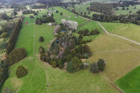 Photo of property in 5587 State Highway 12, Kaikohe, 0472