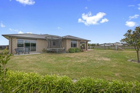 Photo of property in 20 Larlin Drive, Hawera, 4675