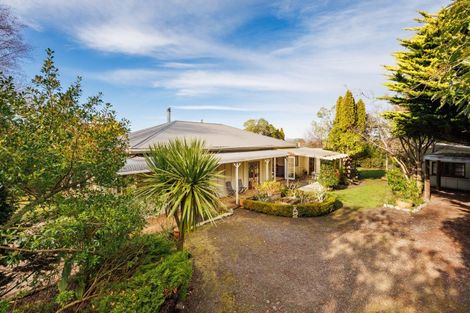 Photo of property in 34 Pirinoa Street, Feilding, 4702
