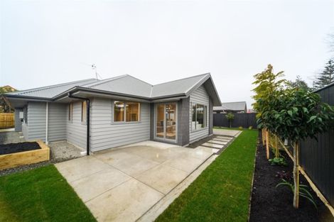 Photo of property in 48 Weston Avenue, Roslyn, Palmerston North, 4414