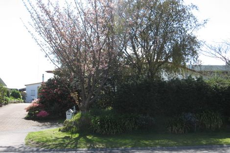 Photo of property in 192 Tamamutu Street, Taupo, 3330