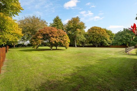 Photo of property in 59a Western Avenue, Omokoroa, 3114