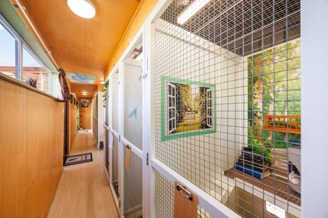 Photo of property in 158 Watershed Road, Bunnythorpe, Palmerston North, 4470