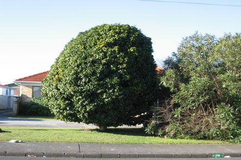 Photo of property in 18 Cameron Street, Papakura, 2110