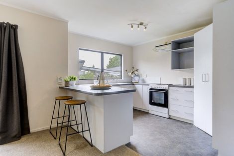 Photo of property in 60 Mansel Avenue, Hillcrest, Hamilton, 3216