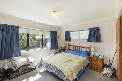 Photo of property in 373a Ruahine Street, Terrace End, Palmerston North, 4410