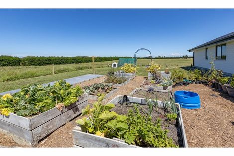 Photo of property in 647 Mairaki Road, Fernside, Rangiora, 7471