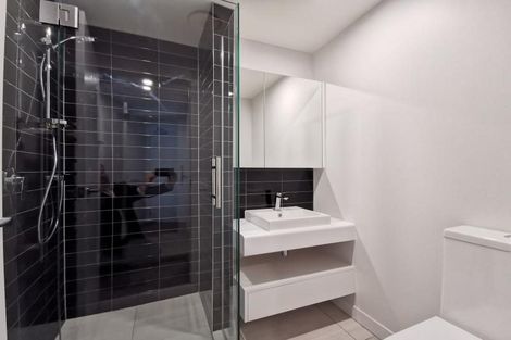 Photo of property in Pinnacle Apartments, W301/160 Victoria Street, Te Aro, Wellington, 6011