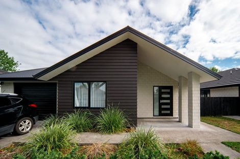 Photo of property in 3 Cassidy Street, Hamilton East, Hamilton, 3216