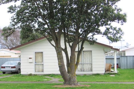 Photo of property in 31 Grenville Street, Levin, 5510