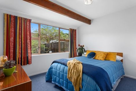 Photo of property in 237b King Street, Whakatane, 3120