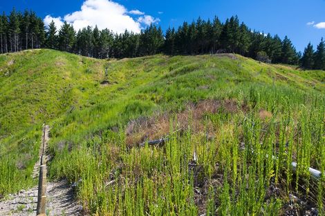 Photo of property in 242 Riverside Road, Whataupoko, Gisborne, 4010