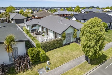 Photo of property in 12 Kawakawa Street, Pegasus, 7612