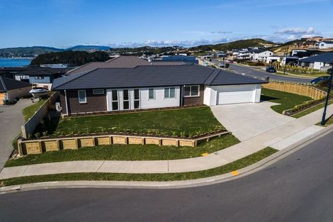 Photo of property in 64 John Burke Drive, Aotea, Porirua, 5024