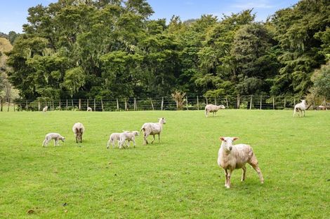 Photo of property in 162 Upokorau Road, Kaeo, 0478