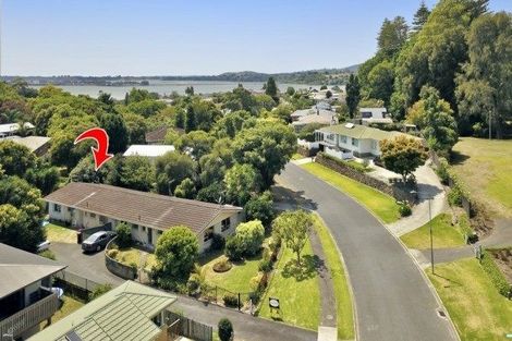 Photo of property in 9 Harrier Street, Parkvale, Tauranga, 3112