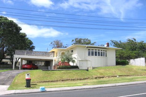 Photo of property in 60 Rogan Street, Mount Roskill, Auckland, 1041
