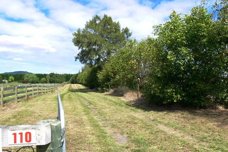 Photo of property in 110 Te Rahu Road, Poroporo, Whakatane, 3193