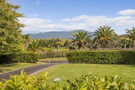 Photo of property in 387 Wright Road, Aongatete, Katikati, 3181