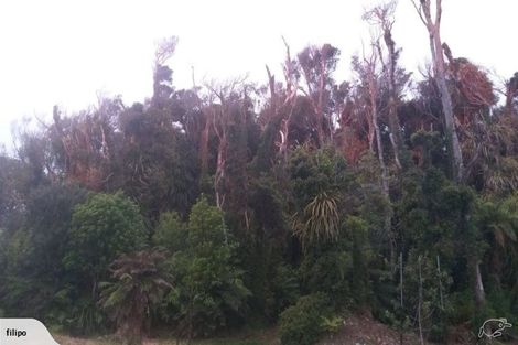 Photo of property in 146 Havill Drive, Awatuna, Hokitika, 7882