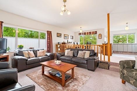 Photo of property in 15b Goodger Court, Cromwell, 9310