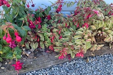 Photo of property in 802 Outram Road, Akina, Hastings, 4122