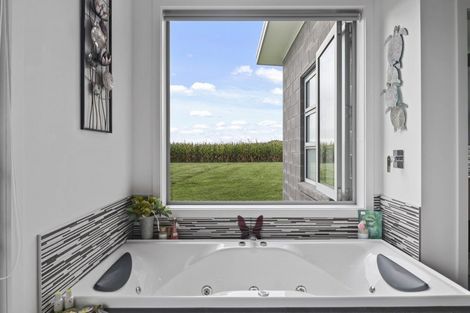 Photo of property in 382 Taukoro Road, Morrinsville, 3375