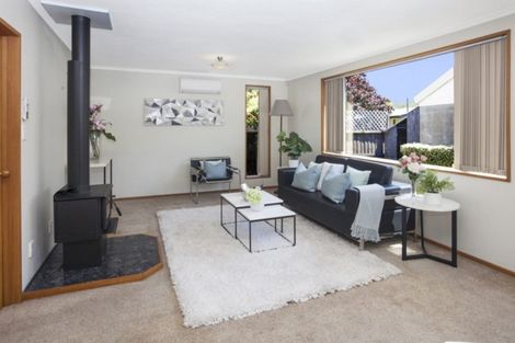 Photo of property in 1/153b Strickland Street, Spreydon, Christchurch, 8024