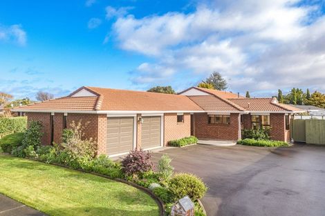 Photo of property in 4 Warwick Place, Springvale, Whanganui, 4501