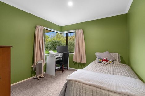 Photo of property in 62 Joblins Road, Levin, 5571