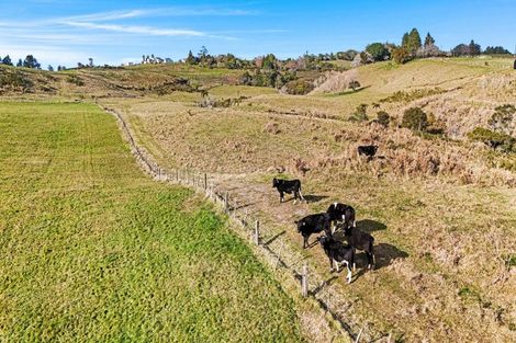 Photo of property in 20 Laurel Drive, Whakamarama, Tauranga, 3179