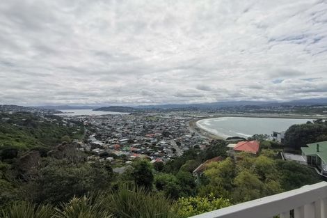 Photo of property in 133 Hornsey Road, Melrose, Wellington, 6023