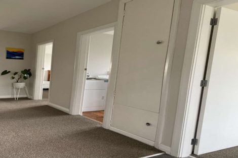 Photo of property in 162 The Ridgeway, Mornington, Wellington, 6021