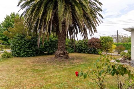 Photo of property in 38 Jellicoe Street, Greytown, 5712