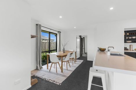 Photo of property in 101 Edward Street, Lincoln, 7608