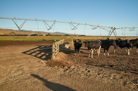 Photo of property in 247 Seabridge Road, Motukarara, Christchurch, 7672