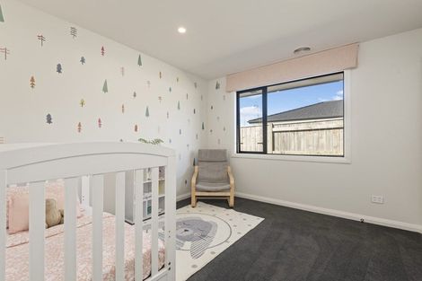 Photo of property in 20 Silicon Way, Fitzherbert, Palmerston North, 4410