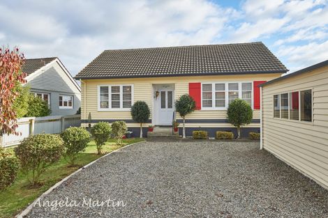 Photo of property in 20 Ihle Street, Terrace End, Palmerston North, 4410