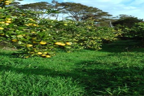 Photo of property in 103 Block Road, Hikutaia, Paeroa, 3674