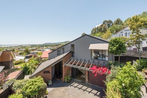 Photo of property in 3 Barrington Place, Richmond, 7020