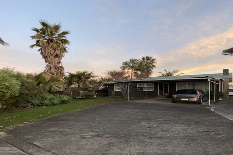 Photo of property in 33 Mackenzie Street, Te Atatu South, Auckland, 0610