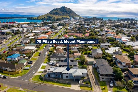 Photo of property in 75 Pitau Road, Mount Maunganui, 3116
